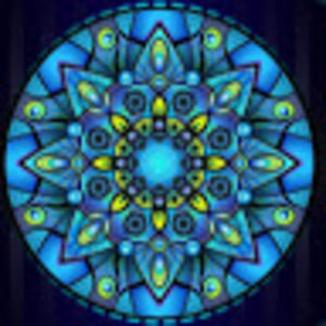 Meet your Posher, Tracie